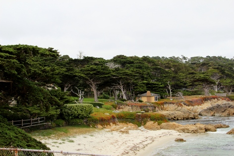 ��������� ����������